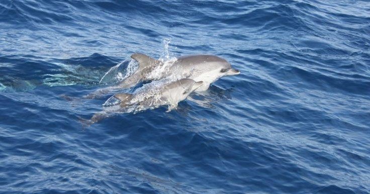 Family enjoying a catamaran sailing experience